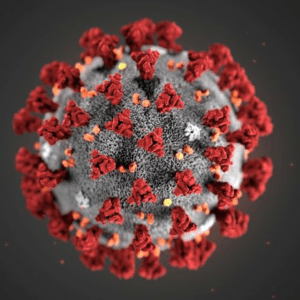 коронавирус, вирус, эпидемия